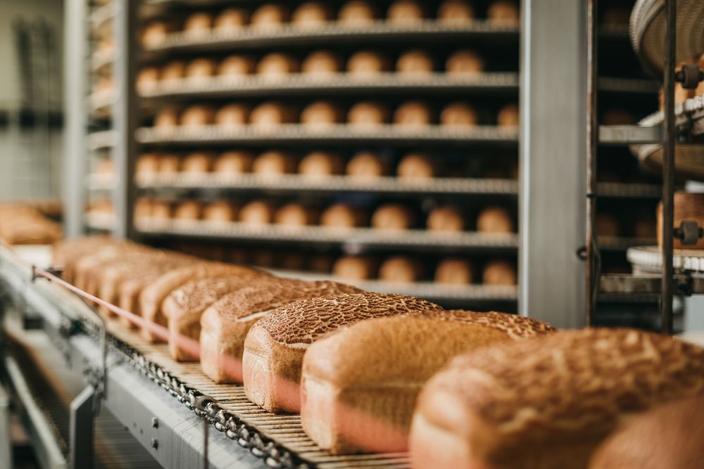 Food production line in a commercial bakery